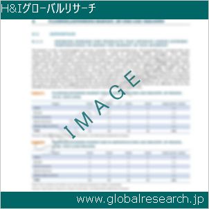 グローバルリサーチ調査レポートのイメージ